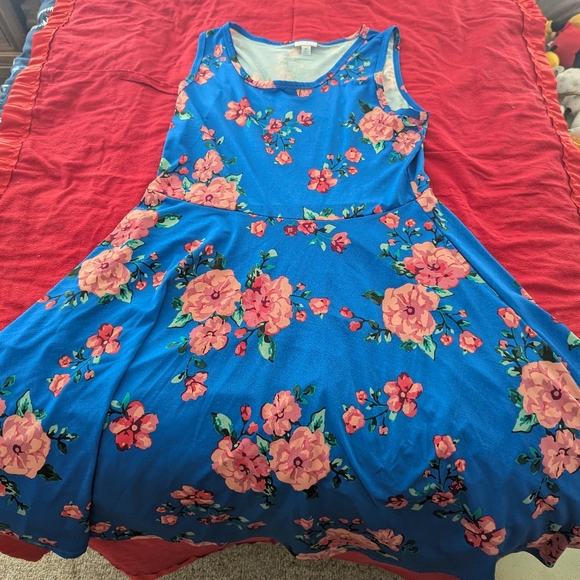 Lularoe Nicki dress with pockets - Picture 2 of 4